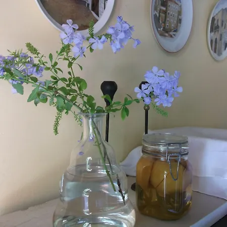 מלון De Loulia 4*