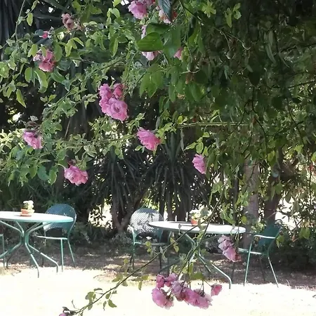 Hotel De Loulia